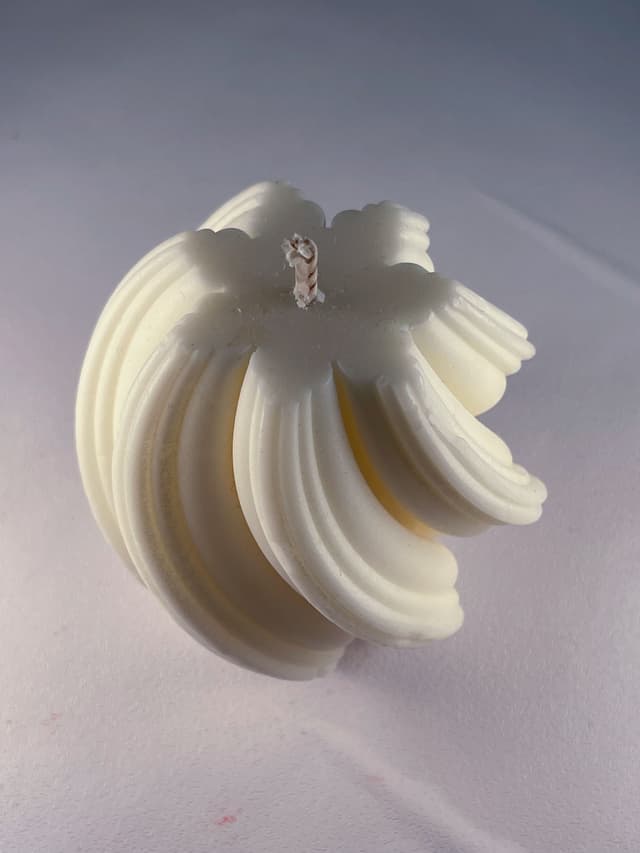 Ginkgo Leaf 