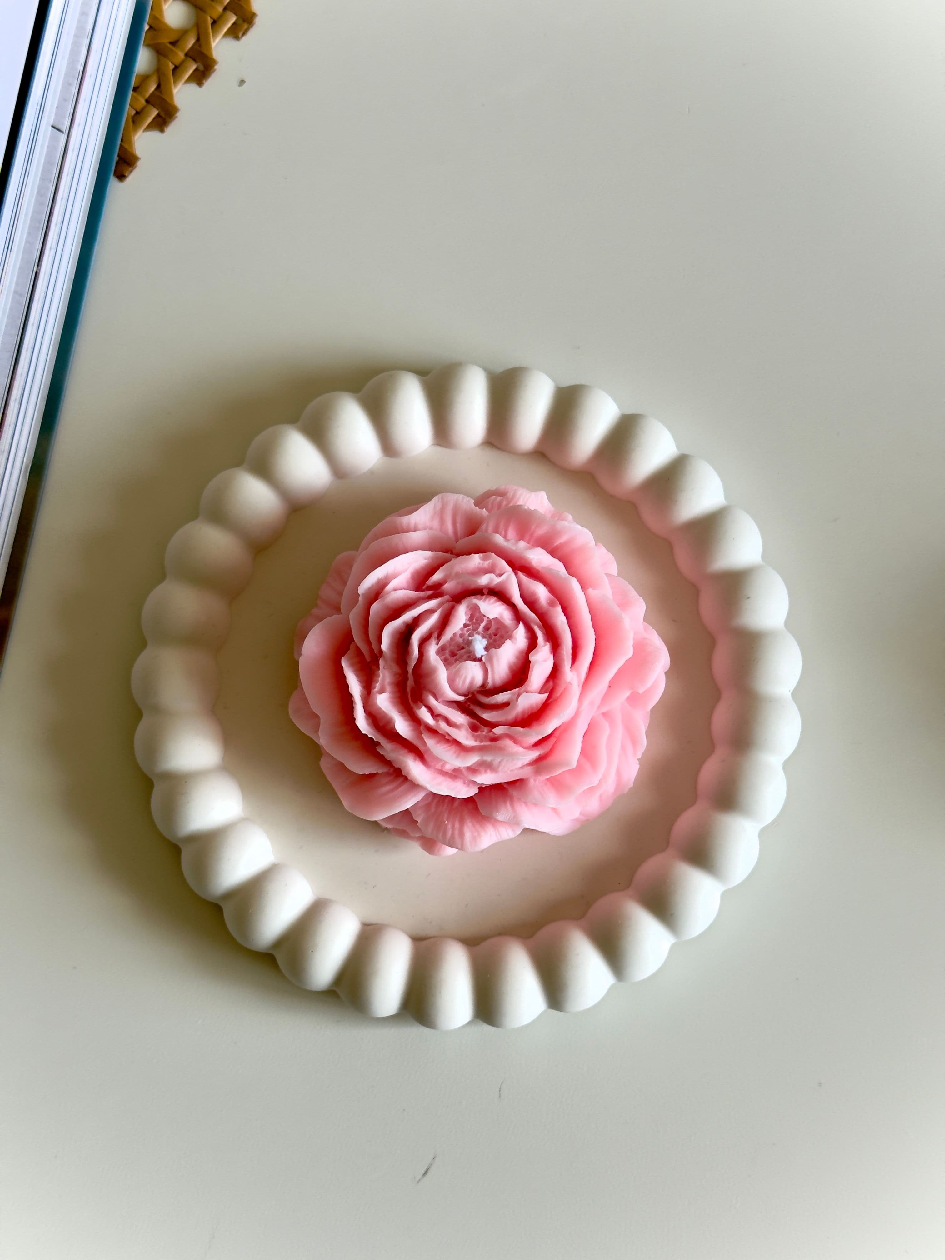 Bubble Tray