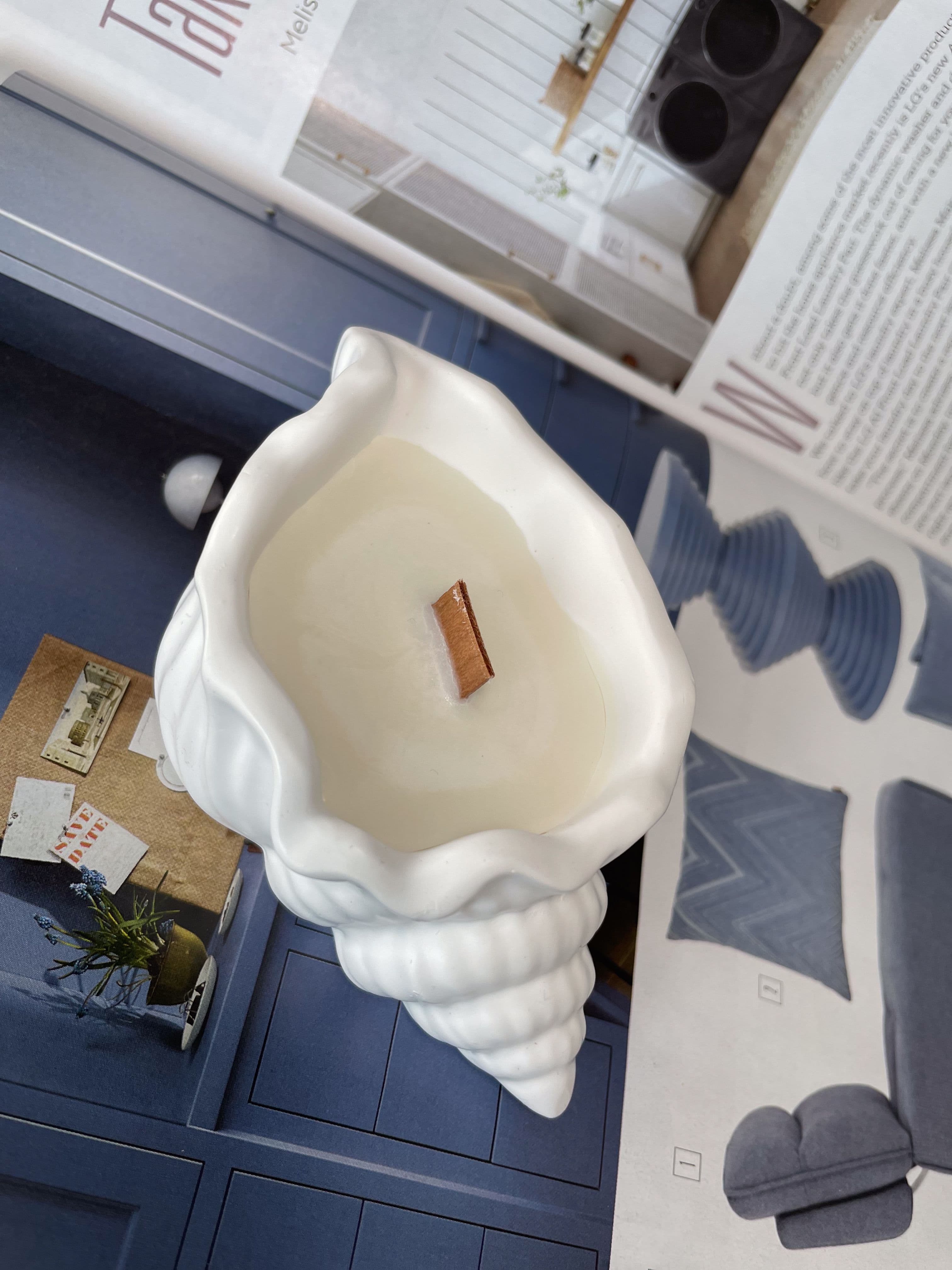 Sea Shell candle